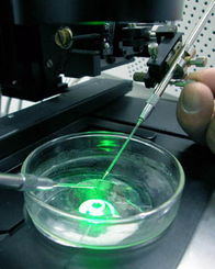 2021年中国生物技术开发 创新驱动与产业升级的新篇章