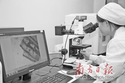 松山湖发力生物产业 精准扶持生物技术开发，打造创新高地